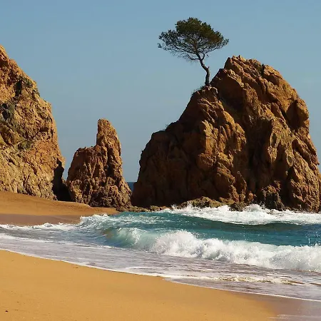 Samar Tossa de Mar